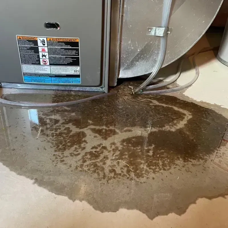 Appliance Leak Cleanup in Lake Kiowa, TX